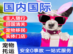 信阳明港空运公司国际宠物托运 【国